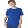 Next Level Boys Cotton Crew - ROYAL - L - (Style # 3310 - Original Label) view 1