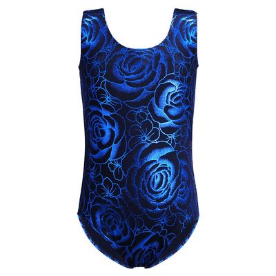 HOZIY Leotards for Girls Gymnastics 3t 4t Toddlers Black Blue Rose Ballet Dance Unitard