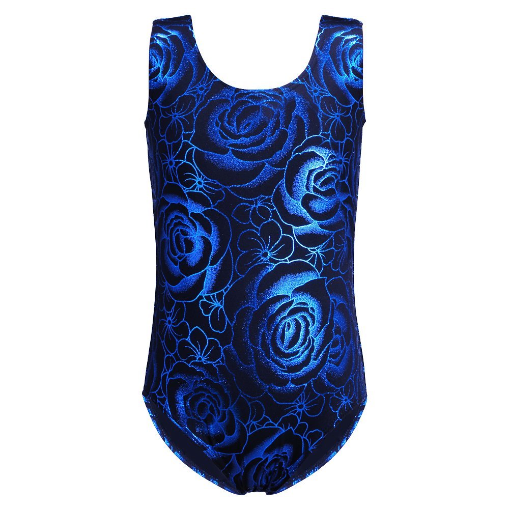 HOZIY Leotards for Girls Gymnastics 3t 4t Toddlers Black Blue Rose Ballet Dance Unitard