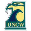 Craftique North Carolina-Wilmington Decal (UNCW Hawk Decal (3''4''6''12''), 4 in) view 1