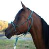 Knotty Girlz Horse Rope Training Halter - 4 Knot 1/4" Stiff Halter Cord - Used by Famous Trainers Multiple Sizes Multiple Colors (Purple, Large) view 2
