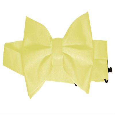 Brand Q Bow-Tie is 2 1/2 Wide. Fits neck up to 20". Pre-tied. Adjustable for easy sizing.