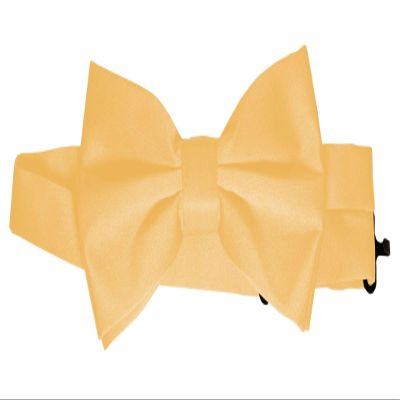 Bow-Tie is 2 1/2 Wide. Fits neck up to 20". Pre-tied. Adjustable for easy sizing.