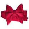 Brand Q Bow-Tie is 2 1/2 Wide. Fits neck up to 20". Pre-tied. Adjustable for easy sizing. view 1