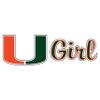Craftique Miami Decal view 1