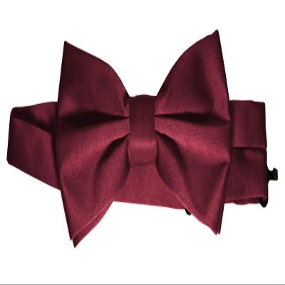 Bow-Tie is 2 1/2 Wide. Fits neck up to 20". Pre-tied. Adjustable for easy sizing.