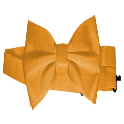 Bow-Tie is 2 1/2 Wide. Fits neck up to 20". Pre-tied. Adjustable for easy sizing.