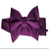 Bow-Tie is 2 1/2 Wide. Fits neck up to 20". Pre-tied. Adjustable for easy sizing. view 1