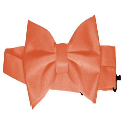 Bow-Tie is 2 1/2 Wide. Fits neck up to 20". Pre-tied. Adjustable for easy sizing.
