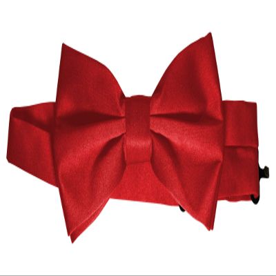 Bow-Tie is 2 1/2 Wide. Fits neck up to 20". Pre-tied. Adjustable for easy sizing.
