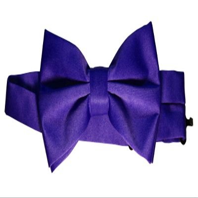 Brand Q Bow-Tie is 2 1/2 Wide. Fits neck up to 20". Pre-tied. Adjustable for easy sizing.