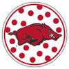 Arkansas Razorbacks Decal view 1