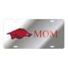 Arkansas Razorbacks TAG view 1
