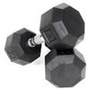 Ader Octagon Rubber Dumbbell, Pair (95LB) view 1