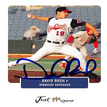 Sports Memorabilia Autograph Warehouse 343826 David Bush Autographed Baseball Card - Toronto Blue Jays, FT 2004 Just Minors No. 13 Rookie