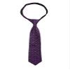 Spring Notion Boys' Pre-tied Woven Zipper Tie Small Purple Dotted view 1