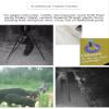 One and Done PRO Game Feeder - Built to Last - Loads 122lbs or 250 lbs (55 Gallon Bear Proof Classic Game Feeder) No Assemble Required view 3