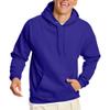 Hanes Men's Pullover EcoSmart Hooded Sweatshirt, purple, 3XL view 1