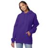 Hanes Men's Pullover EcoSmart Hooded Sweatshirt, purple, 3XL view 4