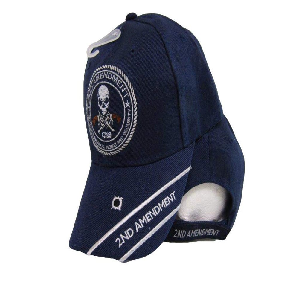 AES 2nd Amendment Original Homeland Security 1789 Skull Blue Embroidered Cap Hat