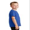 Port& Company Youth Core Solid Short Sleeve Cotton Tee, M, Royal view 4