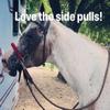 side pull hackamore bitless bridle attachment red horse tack view 3