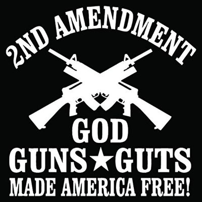 2nd Amendment God Guns Guts Car Truck Window Bumper Vinyl Graphic Decal Sticker- (10 inch) / (25 cm) Wide GLOSS WHITE Color