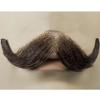 M10 Small English Mustache Color Black - Lacey Wigs Human Hair Gentleman Victorian Downton Abbey Lace Backed Hand Made Facial Bundle w/Spirit Gum and Remover, MaxWigs Costume Wig Care Guide view 4