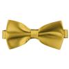 Flairs New York Little Gentleman's Kids Bow Tie (Empire Gold) view 1