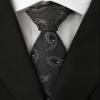 Adulove Men's Necktie Classic Silk Tie Woven Jacquard Neck Ties 6 PCS view 4