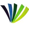 CHINA AMIER ARCHERY Arrow Feathers 4" Turkey Feather Arrow Fletching Feather Peltate Right Wing Natural Vanes (Green) view 2