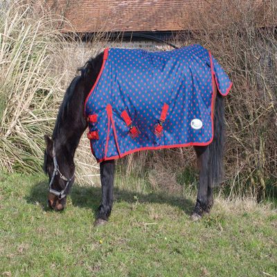 Rhinegold Dottie Foal Torrent Outdoor Rug-Lightweight No Fil