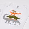 Carter's Baby Boy's 4-Piece Gift Set Pants, Allover Dino, Newborn view 2