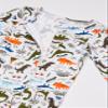 Carter's Baby Boy's 4-Piece Gift Set Pants, Allover Dino, Newborn view 4