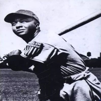 Negro League 40-Trading Cards Set - Famous African-American Baseball League
