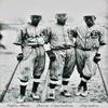 Negro League 40-Trading Cards Set - Famous African-American Baseball League view 3