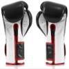Fairtex Muay Thai Boxing Gloves BGV9 - Heavy Hitter Mexican Style Training & Sparring Gloves for Kick Boxing MMA K1 (Black/White/Red Piping, 16 oz) view 2