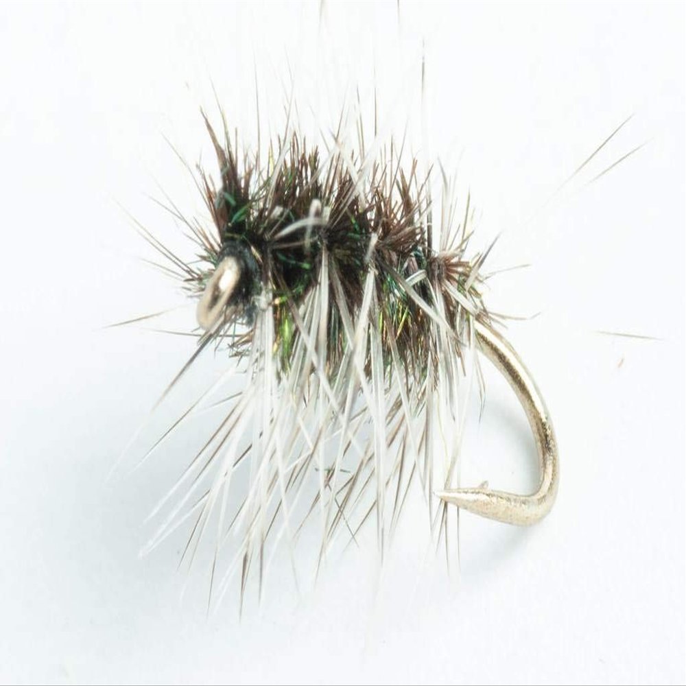Blue Wing Olive Griffith's Gnat Dry Fly, 6 Pack (#22)