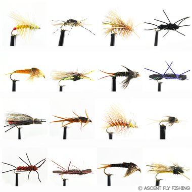 Ascent Fly Fishing Deadly Dozen Stonefly Selection (Medium)