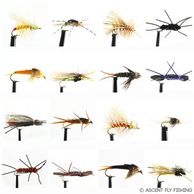 Ascent Fly Fishing Deadly Dozen Stonefly Selection (Medium)