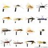 Ascent Fly Fishing Deadly Dozen Stonefly Selection (Medium) view 1