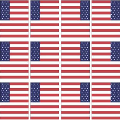 12-2"x1.2" American Flag Decal US USA United States Hard Hat Helmet Sticker RL