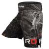 ROAR MMA Rash Guards Fight Training BJJ Grappling No Gi Wear (BLK/Dragon, Medium) view 4