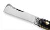 DUE BUOI GRAFTING KNIFE 202 WITH BLACK POLYMER HANDLE. (PROFESSIONAL KNIFE NOT AN EDC POCKET KNIFE) view 2