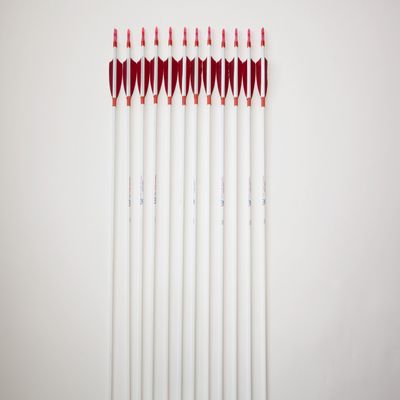 Completed Arrow - Carbon Fiber Spine 500 with 3" feathers, target points (Red Feathers)