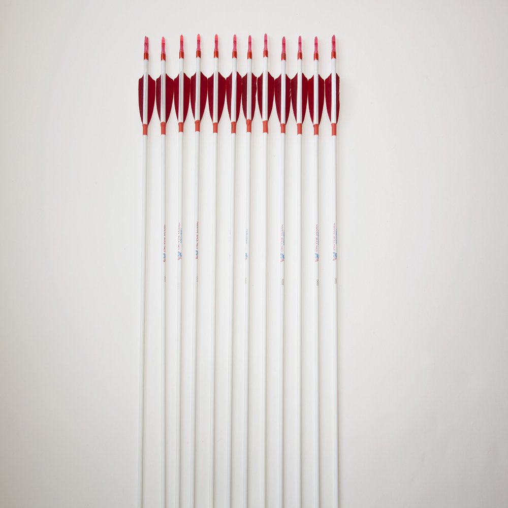Completed Arrow - Carbon Fiber Spine 500 with 3" feathers, target points (Red Feathers)