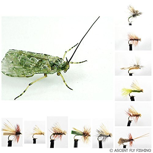 Dry Caddis Fly Selection (Small)