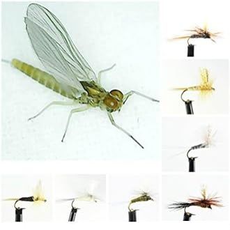 Ascent Fly Fishing Go-to Dry Mayfly Selection (Medium)