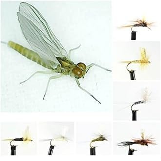 Ascent Fly Fishing Go-to Dry Mayfly Selection (Medium)