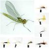 Ascent Fly Fishing Go-to Dry Mayfly Selection (Medium) view 1